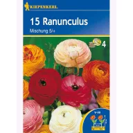 Boglárka hagyma színkeverék, Kiepenkerl 10 db