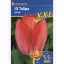 Tulipánhagyma XXL, Kiepenkerl Van Eijk 12 db