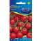 Tomato Lugas F1 20 seeds