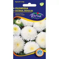 Őszirózsa Prinzess fehér 1 g