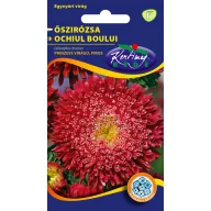 Őszirózsa Prinzess piros 1 g