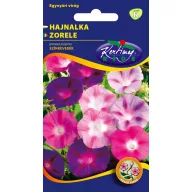 Hajnalka Bíboros színkeverék 2 g