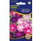 Hajnalka Cardinal colour mix 2 g