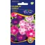 Hajnalka Cardinal colour mix 2 g