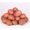 Potato seed tuber "Desirée" 50 pcs
