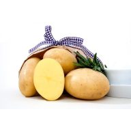 Burgonya vetőgumó "Elfe" 50 db