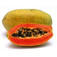 Papaya (Carica Papaya) 5 szem