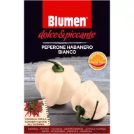  Fehér habanero paprika Blumen – extrém csípős Blumen (kb. 10-20 szem)