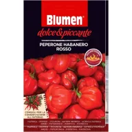   Piros habanero paprika – extrém csípős Blumen  (kb. 10-20 szem)