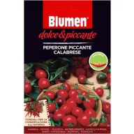  Kalabriai erős pepperóni – csípős Blumen (kb. 10-20 szem)