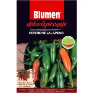 Jalapeno pepperoni - hot flowers (approx. 10-20 seeds)