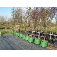 Szövetkonténer (faiskolai) lengyel 20 l