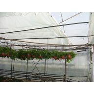 Raschel-háló Dupla 9,4x50m 50g/m2 fehér (45%)