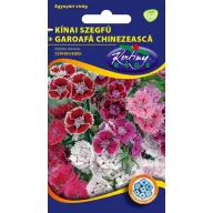 Kínai szegfű színkeverék 2g