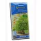 Germination tray Kiepenkerl 25x15 with cress seeds
