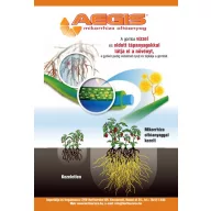 Aegis Sym Clay mycorrhizal rennet 4 kg