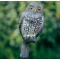 Madárriasztó figura "Bagoly kicsi"