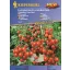 Balcony tomatoes Tom Red Kiepenkerl 10 seeds