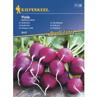 Retek lila Viola Kiepenkerl 10 fm-re