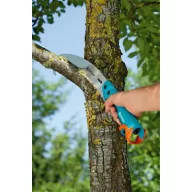 Ch-frame saw 300P curved