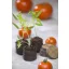 Peat discs Jiffy (48 pieces)