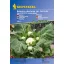 Cauliflower Multi-head Kiepenkerl 20 grains