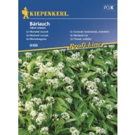 Bear's Onion Kiepenkerl approx. 35 seeds