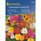 Summer flower garden mix Kiepenkerl