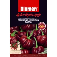 Jamaikai vörös pepperóni Blumen (10-20 szem)
