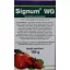 Signum WG 0,1 kg
