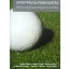 Sportpálya-fenntartás -Laczkó Z.-Mágori T.-Sallai I.-Dr. Szemán L.-Szijártó L. D.- Török Z.