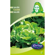Fejessaláta Cassini 3g