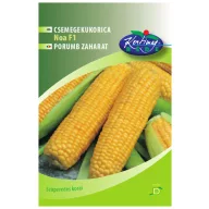 Csemegekukorica Noa F1 50 szem