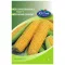 Csemegekukorica Noa F1 50 szem