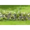 Ágyásszegély Classic Metal Border 0,4x1 m