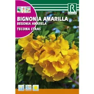 Sárga trombitacserje (Tecoma stands)  Rocalba 1 g