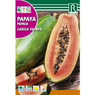 Papaya dinnyefa (Carica papaya) Rocalba