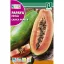 Papaya dinnyefa (Carica papaya) Rocalba