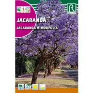   Mimózalevelű dzsakaranda (Jacaranda mimiosifolia) 0,5g  Rocalba