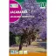 Mimózalevelű dzsakaranda (Jacaranda mimiosifolia) 0,5g  Rocalba