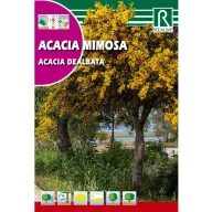 Hamvas Akácia (Acacia dealbata) Rocalba