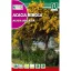 Hamvas Akácia (Acacia dealbata) Rocalba