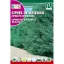 Silvery blue Arizona Cypress (Cupressus arizonica glauca) 2 g Rocalba