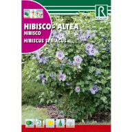 Mályvacserje (Hibiscus syriacus) Rocalba 2 g