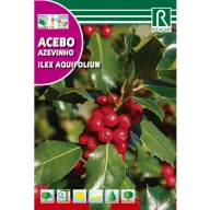 Magyal (Ilex aquifolium) Rocalba 1 g