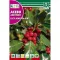 Magyal (Ilex aquifolium) Rocalba 1 g