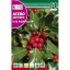 Magyal (Ilex aquifolium) Rocalba 1 g