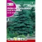 Ezüstfenyő (Picea Pungens) Rocalba 0,5 g