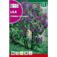 Orgona (Syringa vulgaris) Rocalba 2 g