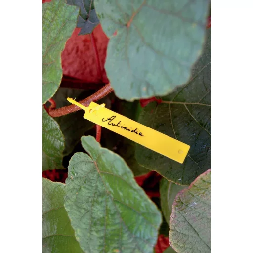 Jelölőcimke Tree label 40 db